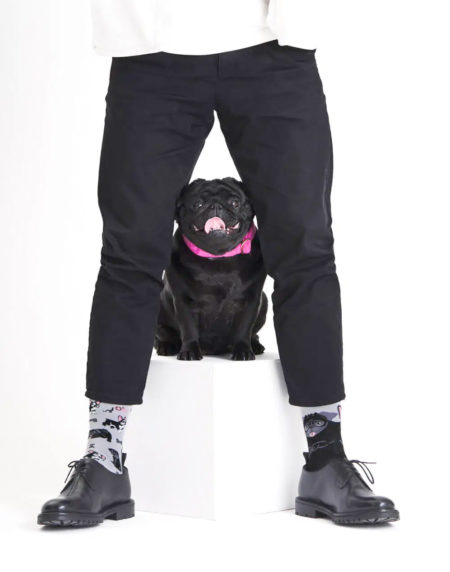 Tiny Little Dogs - Sokken Brievenbus Pakket - Afbeelding 4
