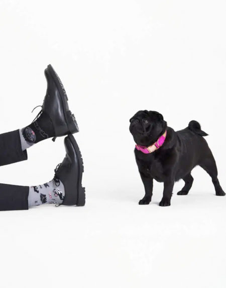 Tiny Little Dogs - Sokken Brievenbus Pakket - Afbeelding 6