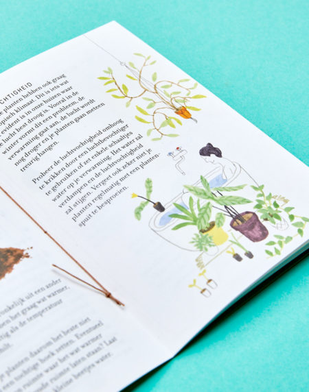 Groene Vingers - Minicursus - Cadeaupakketje - Afbeelding 3